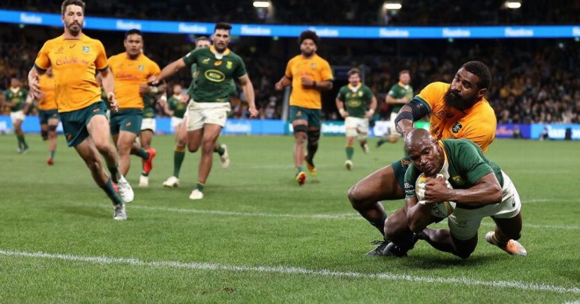 Most Popular Sports to Bet in South Africa